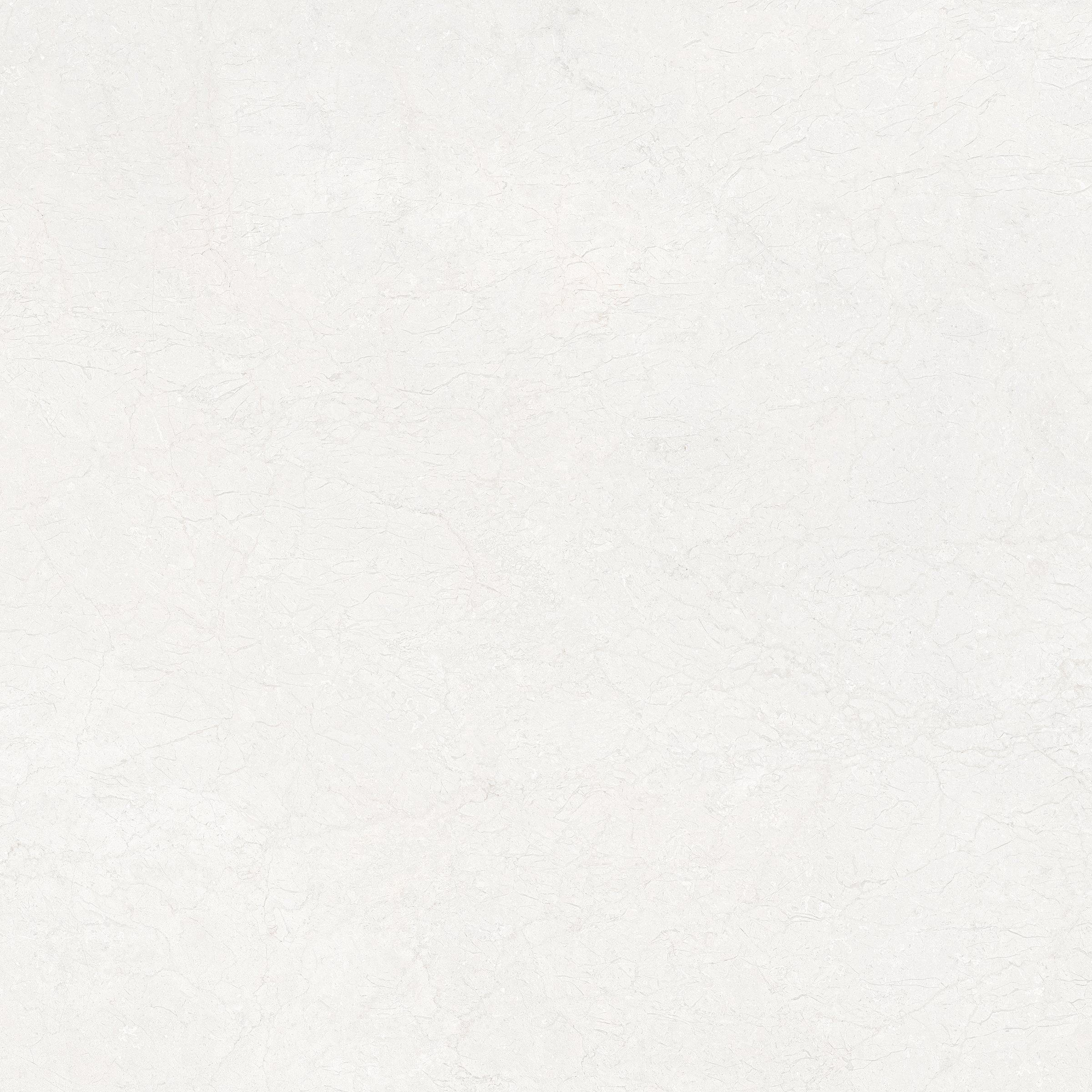 Gạch ốp lát Libon Divina White, Glossy, 120x120 cao cấp